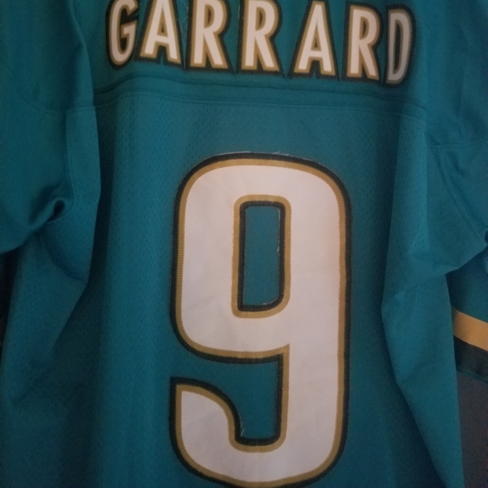 NFL 9 David Gerrard Jersey